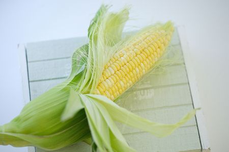 Cornの写真素材