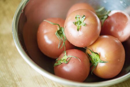 Tomatoの写真素材