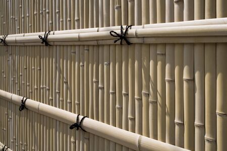 Hedgeの写真素材