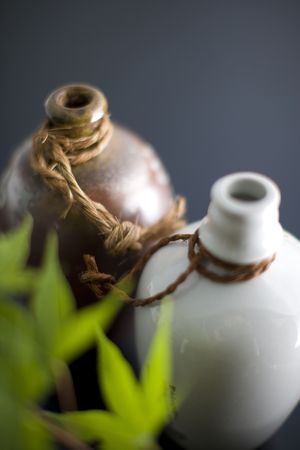 Sake bottleの写真素材