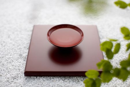 Sake and Thalictrum rochebrunianumの写真素材