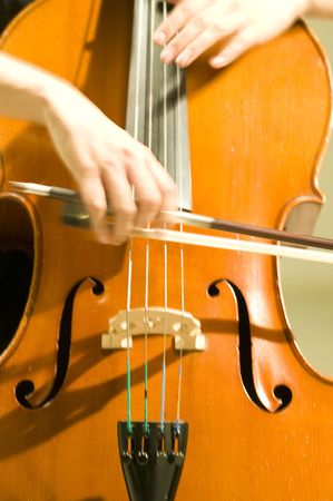 Celloの写真素材