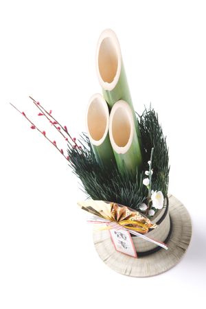 New Year's decorative pive treesの写真素材