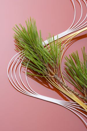 Ceremonial  paper stringsの写真素材