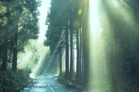 Sunshineの写真素材