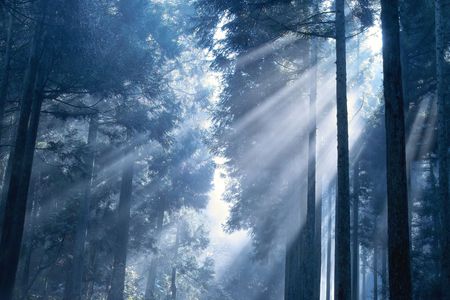 Sunshineの写真素材