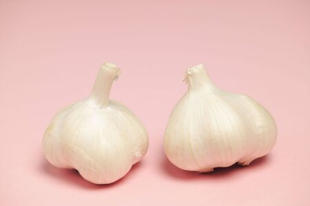 Garlicの写真素材