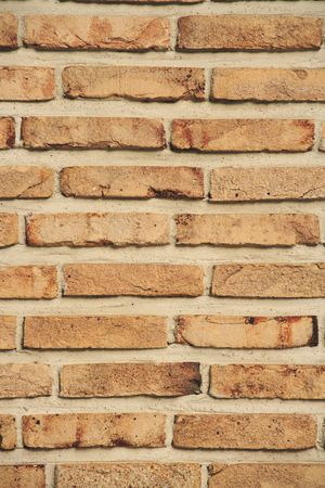 Brick wallの写真素材