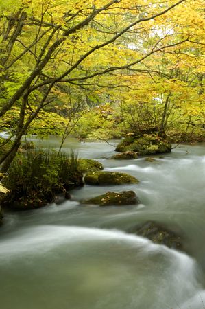 Oirase mountain streamの写真素材