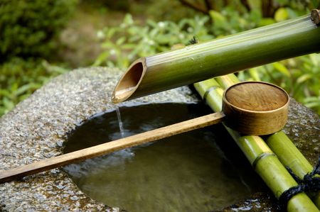 Mail-order bamboo