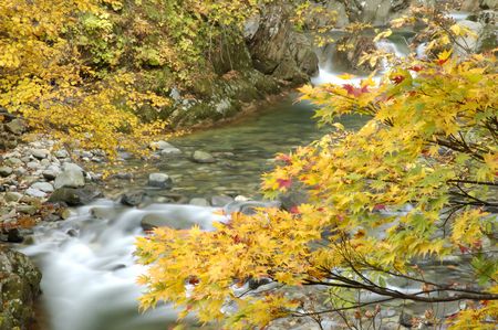 Valley of autumn tint
