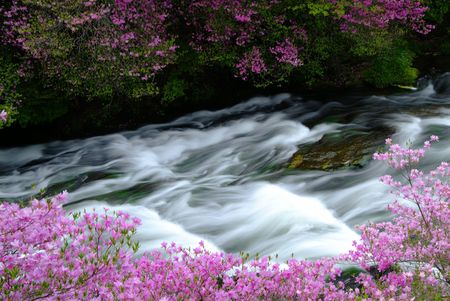 Ryuzuno-taki Waterfall and Yashiotstsgeの写真素材