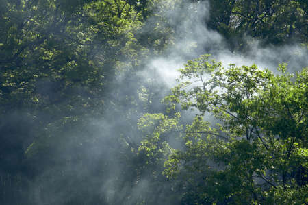 Morning hazeの写真素材