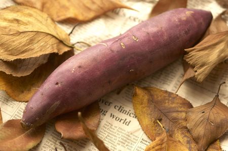 Baked sweet potatoの写真素材