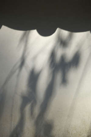 Shadowの写真素材