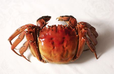 Crabの写真素材