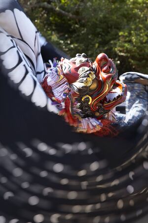 Lion's maskの写真素材