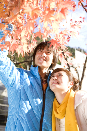 Paylessimages091202346