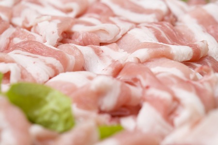 Pork sliceの写真素材