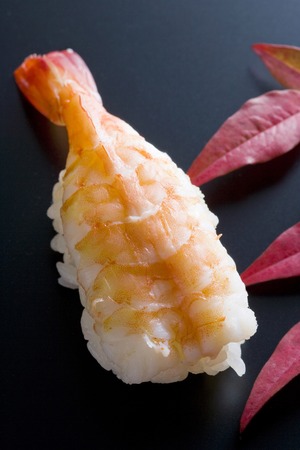 Shrimpの写真素材