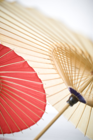 Bangasa whiteの写真素材