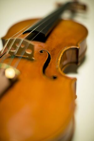 Violin