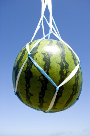 Watermelonの写真素材