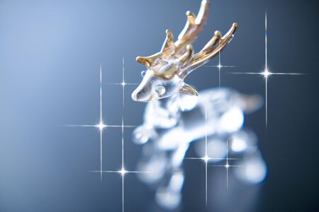 Reindeerの写真素材