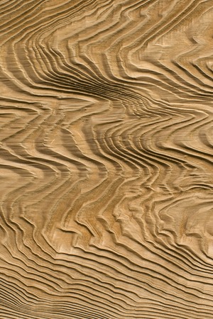 Treering