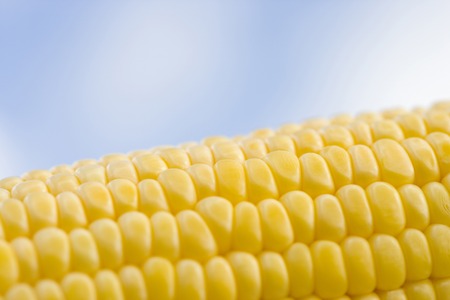 Corn