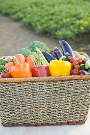 Vegetablesの写真素材