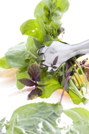 Saladの写真素材