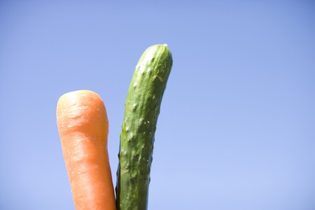 Carrots and cucumberの写真素材