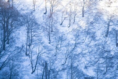 Snow Mountain