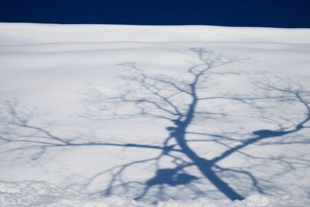 Shadowの写真素材