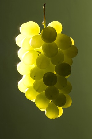 Muscatの写真素材