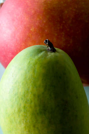 Mangoの写真素材