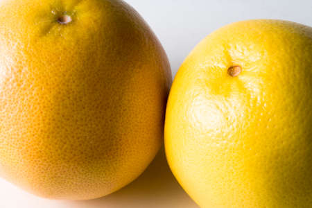 Grape fruitの写真素材