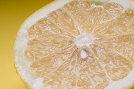 Grape fruitの写真素材