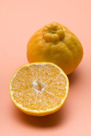 Dekoponの写真素材