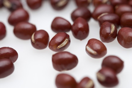 Red beanの写真素材