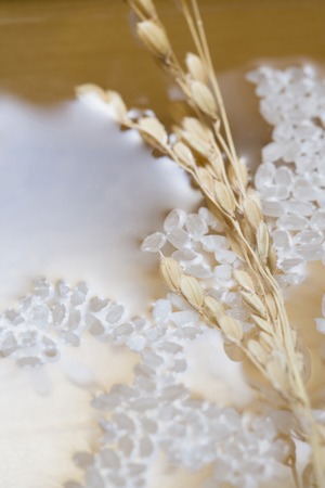 Inahoの写真素材