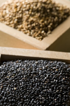 Sesame