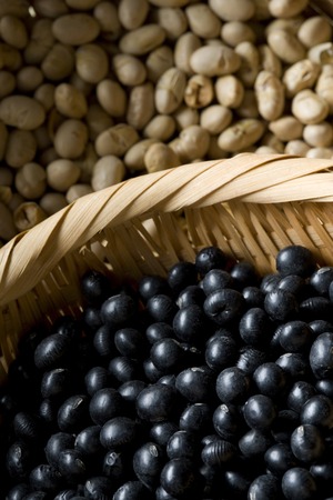 Black Beanの写真素材