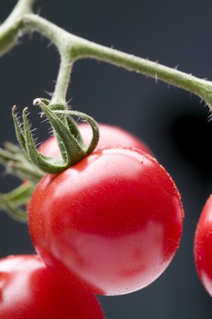 Cherry tomatoの写真素材