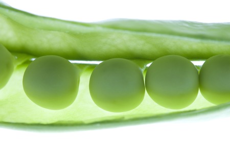 Snow peasの写真素材