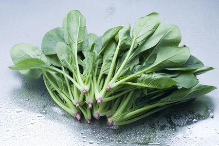 Spinachの写真素材