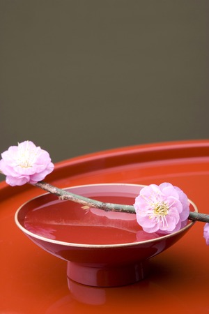 Japanese style imageの写真素材