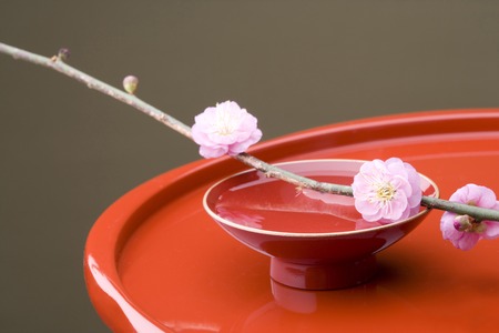 Japanese style imageの写真素材