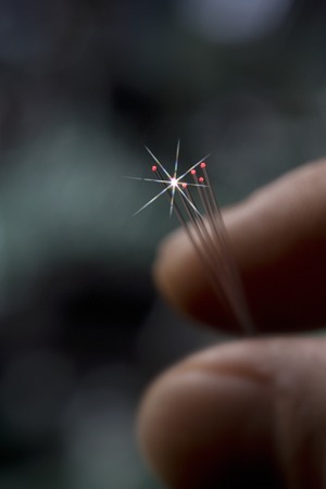 Optical fiberの写真素材